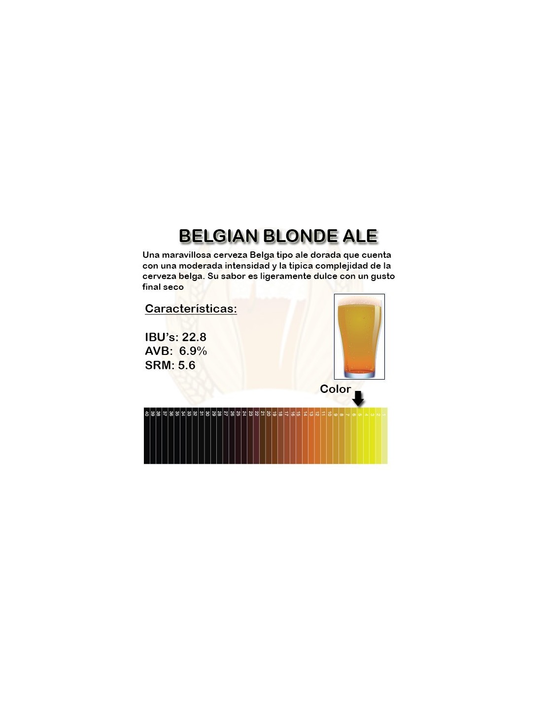 Belgian Blonde Ale Beerland Store